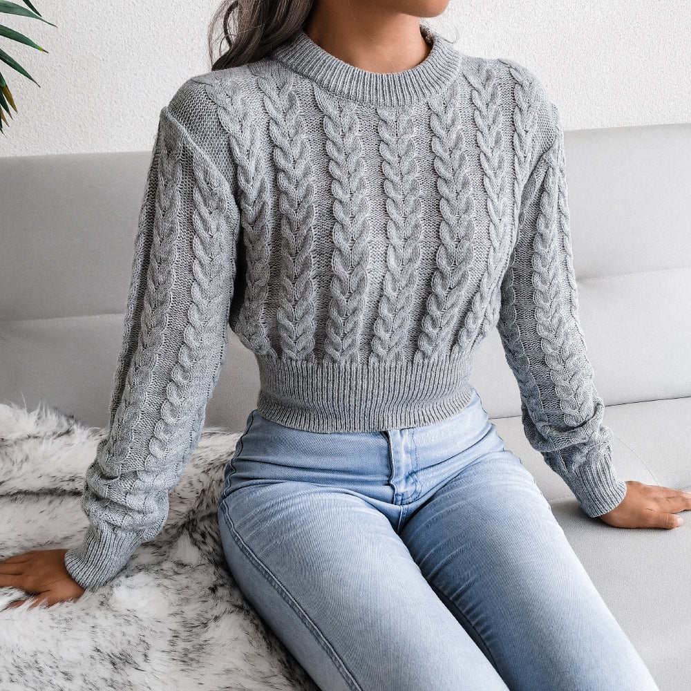 Pull tricot manches longues col rond