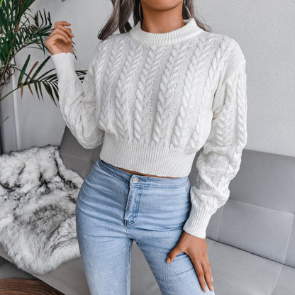 Pull tricot manches longues col rond - Chic&Shines